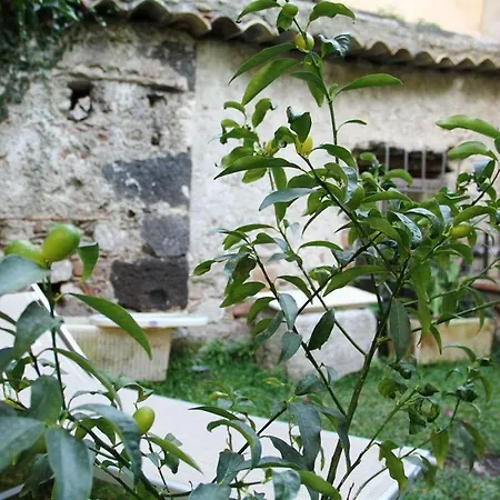 Apartment Al Duomo *