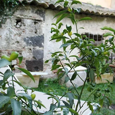 Apartment Al Duomo *